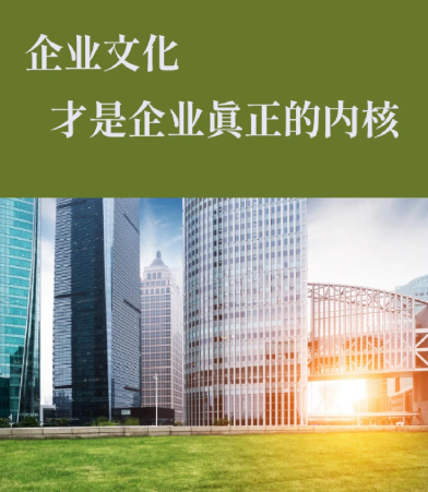 多多美网络科技计算机系统集成方案：多场景下的技术架构与实施要点